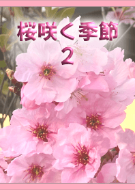 桜咲く季節2 (ピンク)【写真着せかえ】