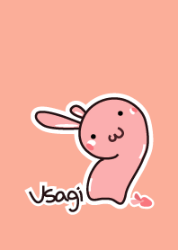 Rabbit (staring-3)