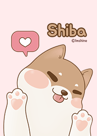 Simple pink cute puppy (shiba)