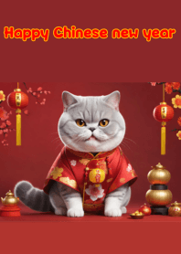 Cute cat is happy on Chinese New Year.