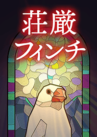 StainedGlassFinch(Java sparrow/White)
