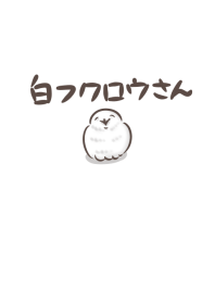 簡單 白色貓頭鷹