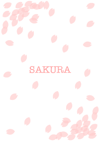 SAKURA. Cherry Blossoms