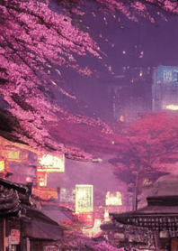 日本夜樱花＃DO026。