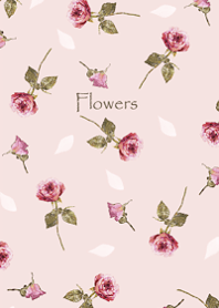 Adult rose design pink.