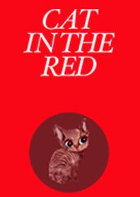 Cat in the Red