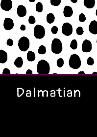 Dalmatian pattern THEME 27
