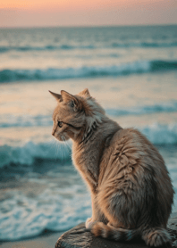 Cat rampage #KLWbA2018.