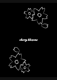 cherry blossoms10 on black
