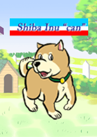 shiba inu "can"
