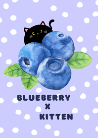 Blueberry x Kitten