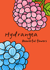 Plant hydrangeas!(sunset orange)