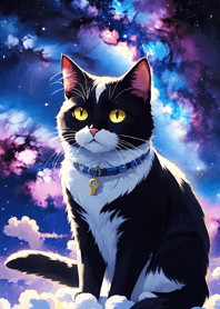 Night Moon Star Cat 8D6038