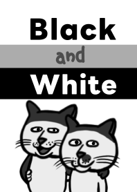 シンプルなモノクロ猫