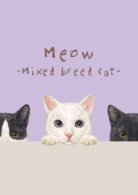 Meow - Mixed breed cat 02 - LAVENDER