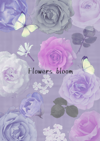 Flowers bloom 2 Purple40_2
