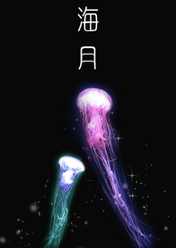 Jellyfish.