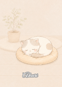 Cozy Lazy Cat: Akari