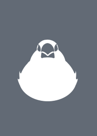 白文鳥 シンプルグレー