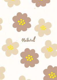 Two types of colorful flowers7 Japan