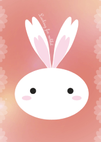 Looking for rabbit Vol.1