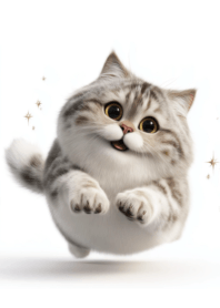 แมวอ้วนกลม น่ารัก_70