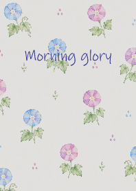 morning glories black JP
