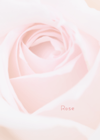 バラのきせかえ14