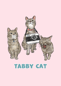 tabbycat11 - pink