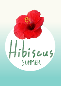 Hibiscus Photo Theme2