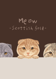 Meow - Scottish fold - DARK BROWN