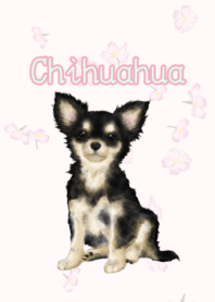 Chihuahua theme.