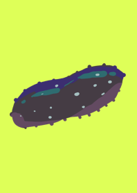 sea cucumbers