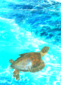 fish fish fish fish fish fish