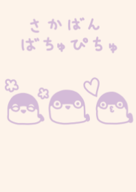 sacabambatyupityu dull color purple