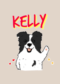 Border Collie - KELLY