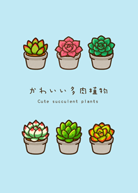 내 다육식물(물색)