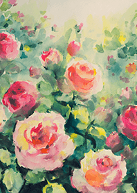 Beautiful rose flower(R4394)