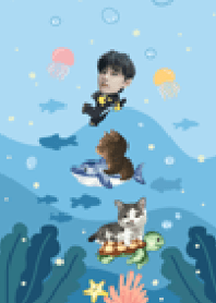 Captain Fish & The Meow Crew