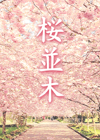 Row of sakura trees from Japan