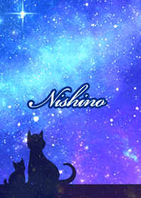 Nishino Milky way & cat silhouette