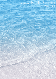 Tropical Beach Photo80 Not AI