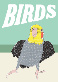 All are birds