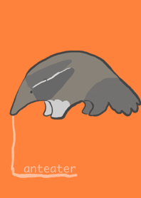 anteater