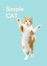 Simple CAT - Mint Color