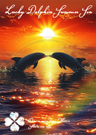 Lucky Dolphin Summer Sea7