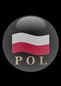 POL 3(j)