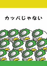 カッパじゃない