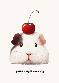 天竺鼠和她的櫻桃