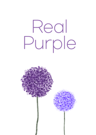 Real Purple